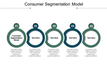 Consumer segmentation model ppt powerpoint presentation ideas design ideas cpb