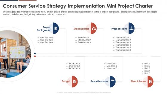 Consumer Service Strategy Implementation Mini Project Charter Consumer Service Strategy Transformation
