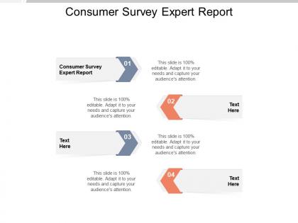 Consumer survey expert report ppt powerpoint presentation outline topics cpb