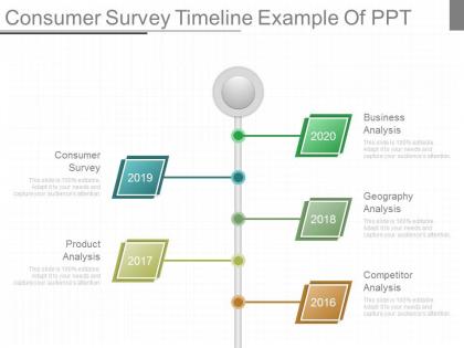 Consumer survey timeline example of ppt