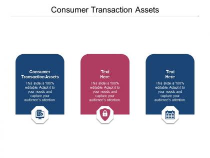 Consumer transaction assets ppt powerpoint presentation professional example cpb