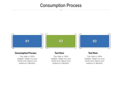Consumption process ppt powerpoint presentation visual aids files cpb