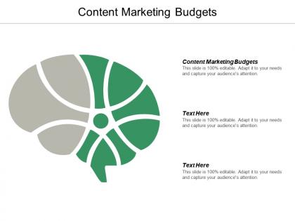 Content marketing budgets ppt powerpoint presentation pictures maker cpb