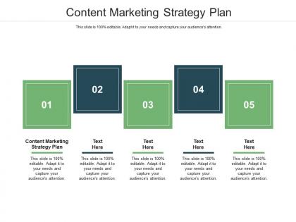 Content marketing strategy plan ppt powerpoint presentation show sample cpb