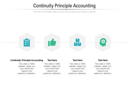 Continuity principle accounting ppt powerpoint presentation ideas files cpb