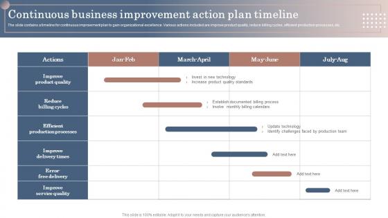 Continuous Business Improvement Action Plan Timeline