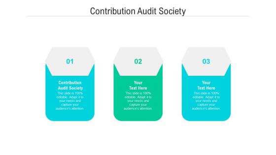 Contribution audit society ppt powerpoint presentation icon format cpb
