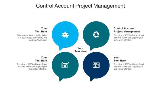 Control account project management ppt powerpoint presentation infographic template deck cpb