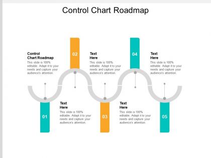 Control chart roadmap ppt powerpoint presentation portfolio slide portrait cpb