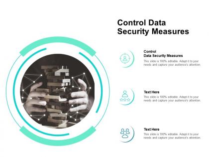 Control data security measures ppt powerpoint presentation infographics example cpb