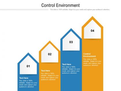 Control environment ppt powerpoint presentation visual aids icon cpb
