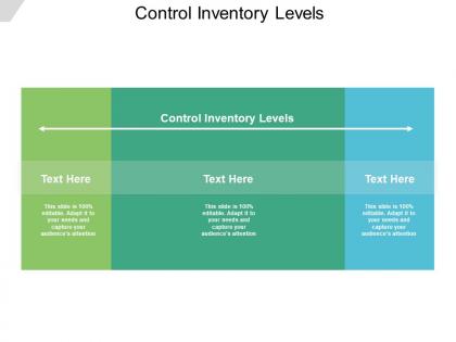 Control inventory levels ppt powerpoint presentation infographic slide cpb