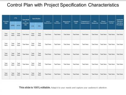 Control plan with project specification characteristics