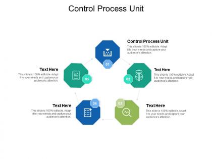 Control process unit ppt powerpoint presentation layouts backgrounds cpb