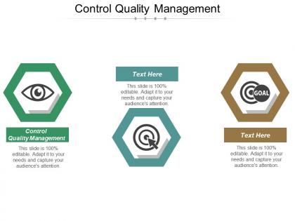 Control quality management ppt powerpoint presentation ideas brochure cpb