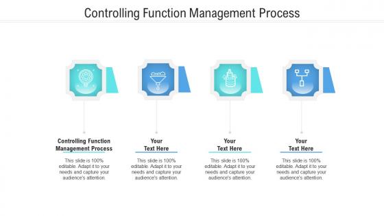 Controlling function management process ppt powerpoint presentation ideas cpb
