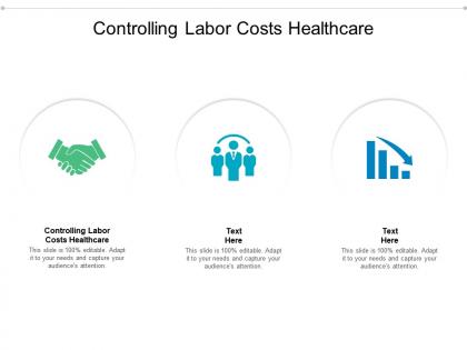 Controlling labor costs healthcare ppt powerpoint presentation infographics show cpb