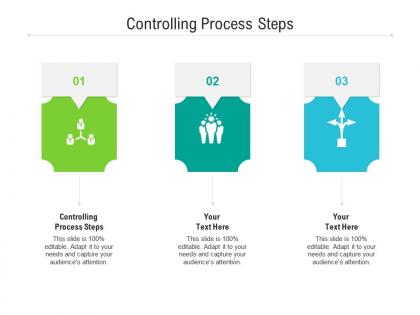 Controlling process steps ppt powerpoint presentation gallery inspiration cpb