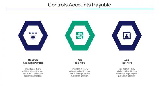 Controls Accounts Payable Ppt Powerpoint Presentation Pictures Maker Cpb