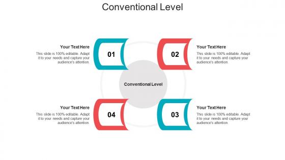Conventional level ppt powerpoint presentation summary format ideas cpb