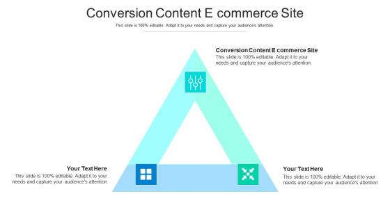 Conversion content e commerce site ppt powerpoint presentation summary microsoft cpb