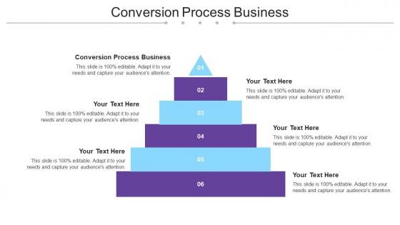 Conversion Process Business Ppt Powerpoint Presentation Summary Mockup Cpb