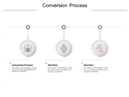 Conversion process ppt powerpoint presentation styles icon cpb