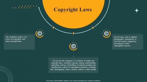 Copyright Laws Employee Handbook Template Ppt Professional Graphics Example