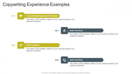 Copywriting Experience Examples In Powerpoint And Google Slides Cpb