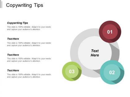 Copywriting tips ppt powerpoint presentation infographic template files cpb