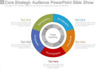 Core strategic audience powerpoint slide show