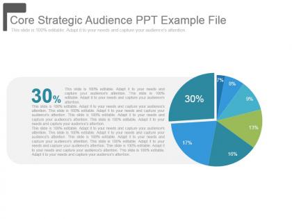 Core strategic audience ppt example file