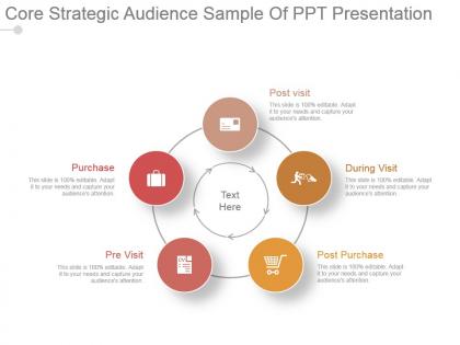 Core strategic audience sample of ppt presentation