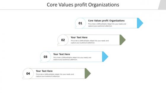 Core values profit organizations ppt powerpoint presentation professional graphics cpb
