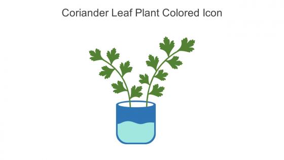 Coriander Leaf Plant Colored Icon In Powerpoint Pptx Png And Editable Eps Format