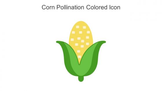 Corn Pollination Colored Icon In Powerpoint Pptx Png And Editable Eps Format