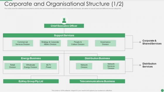 Corporate And Organisational Structure Ppt Professional Example Introduction