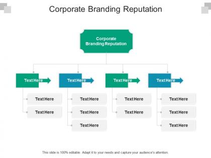 Corporate branding reputation ppt powerpoint presentation slides graphics example cpb