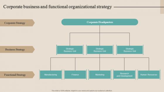 Corporate Business And Functional Optimizing Functional Level Strategy SS V