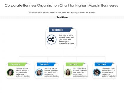 Corporate business organization chart for highest margin businesses infographic template