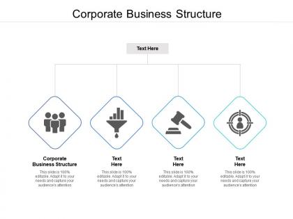 Corporate business structure ppt powerpoint presentation pictures show cpb