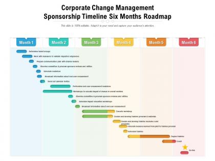 Corporate change management sponsorship timeline six months roadmap