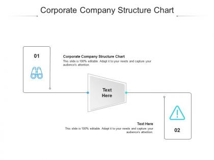 Corporate company structure chart ppt powerpoint presentation styles graphics cpb