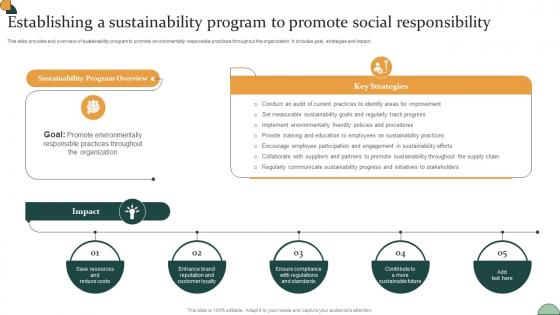 Corporate Compliance Strategy Establishing A Sustainability Program To Promote Social Strategy SS V