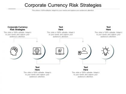 Corporate currency risk strategies ppt powerpoint presentation file background designs cpb