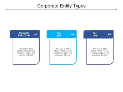 Corporate entity types ppt powerpoint presentation slides design inspiration cpb