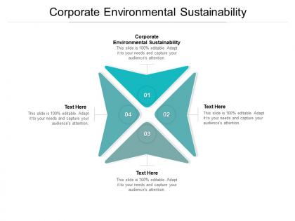 Corporate environmental sustainability ppt powerpoint presentation model cpb