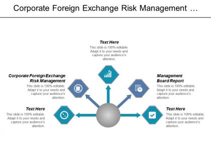 Corporate foreign exchange risk management management board report cpb