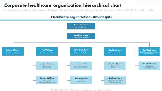 Corporate Healthcare Organization Hierarchical Chart