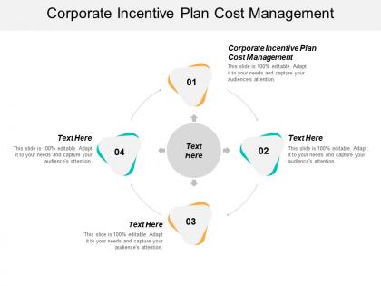 Corporate incentive plan cost management ppt powerpoint presentation ideas graphics download cpb